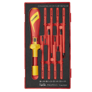 TENG 9PCE 1000V VDE TORQUE SCREWDRIVER SET - TC-TRAY (EVA)