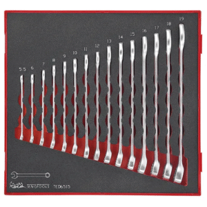 TENG 15PCE COMBINATION SPANNER SET 5.5-19MM - TED-TRAY