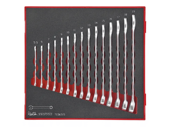 TENG 15PCE COMBINATION SPANNER SET 5.5-19MM - TED-TRAY