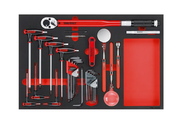TENG 17PCE TORQUE WRENCH HEX/TX & INSP TOOL SET (EVA)