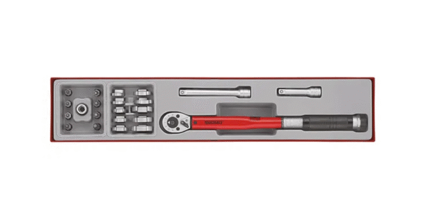TENG 22PCE 3/8" DR.TORQ WR SET 20-100NM - TTX-TRAY